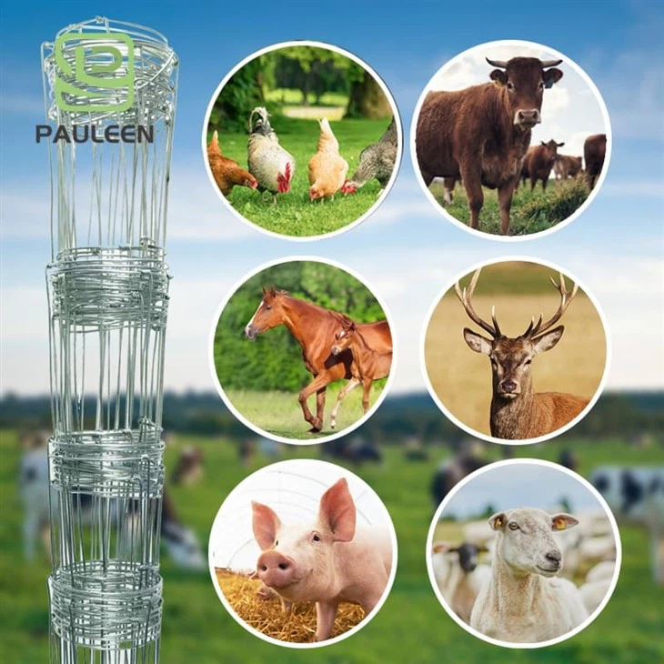 Galvanized Cattle Welded Wire Mesh Panel Fence factory