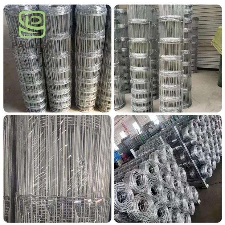 Galvanized Cattle Welded Wire Mesh Panel Fence best