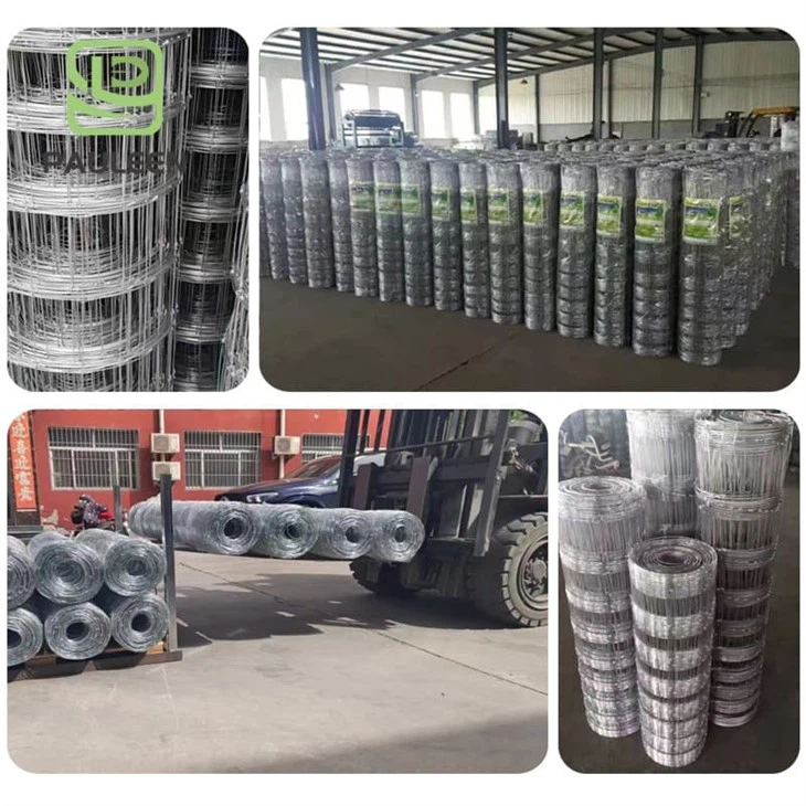 Galvanized Cattle Welded Wire Mesh Panel Fence high quality