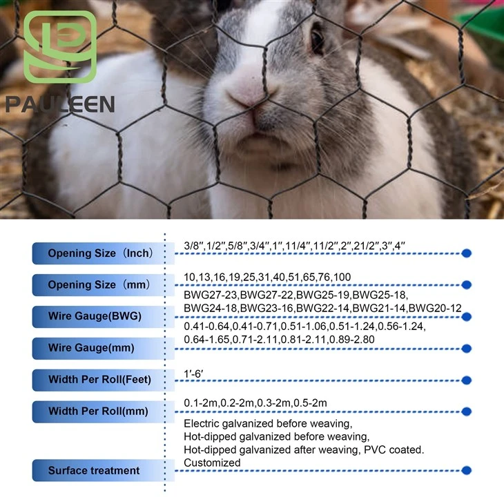 Hexagonal Chicken Wire Mesh Roll suppliers Hexagonal Chicken Wire Mesh Roll suppliers