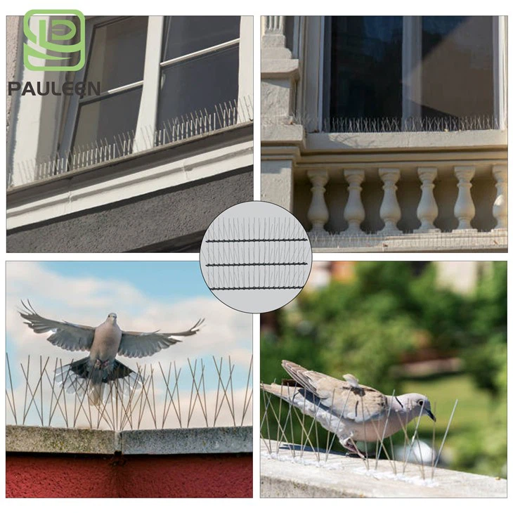 Plastic Anti Bird Spikes