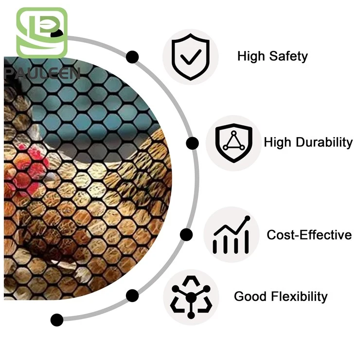 Plastic Chicken Mesh factory Plastic Chicken Mesh factory