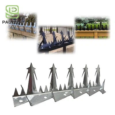 অ্যান্টি ক্লাইম্ব ওয়াল স্পাইকস